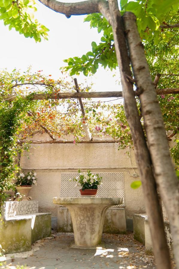 شقة Casa Teresinella Garden توري أنونزياتا المظهر الخارجي الصورة