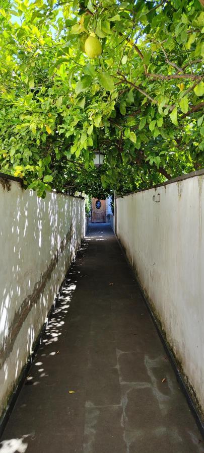 شقة Casa Teresinella Garden توري أنونزياتا المظهر الخارجي الصورة